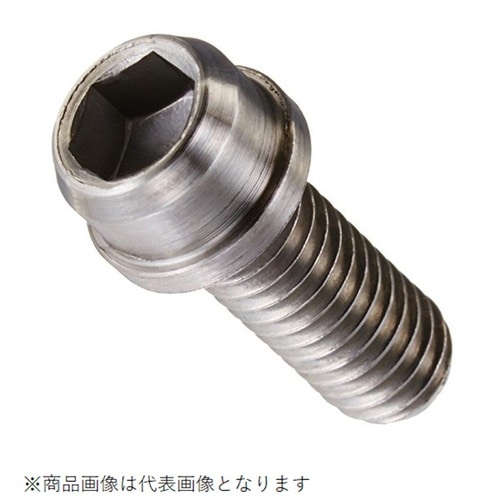 ビビッドボルト ステンレス 6X15/2PC