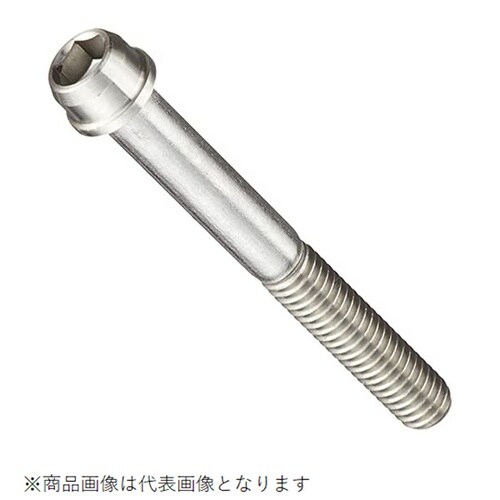 ビビッドボルト ステンレス 6X50/2PC