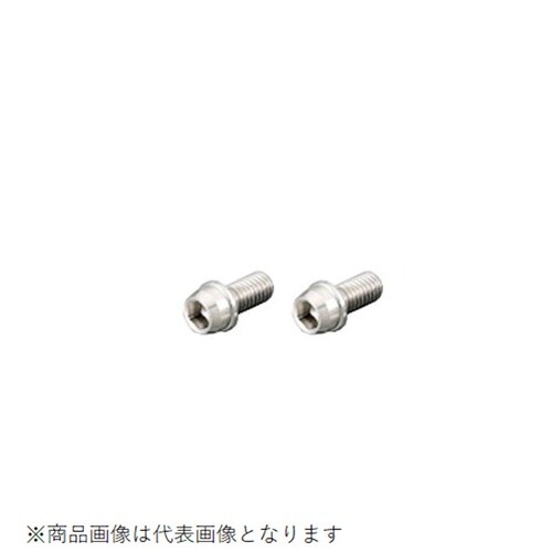 ビビッドボルト ステンレス 6X60/1PC