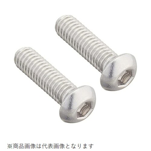ボタンキャップボルト(ステン) 6X20/2PC