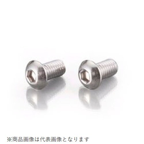 ボタンキャップボルト(ステン) 8X15/2PC