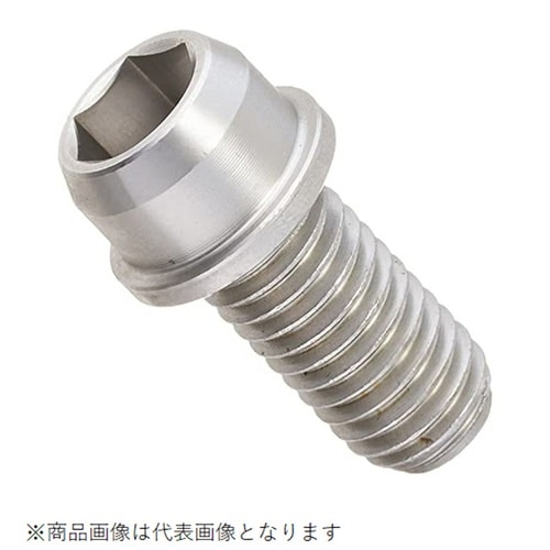ビビットボルト(ステンレス) 10X20/P1.5
