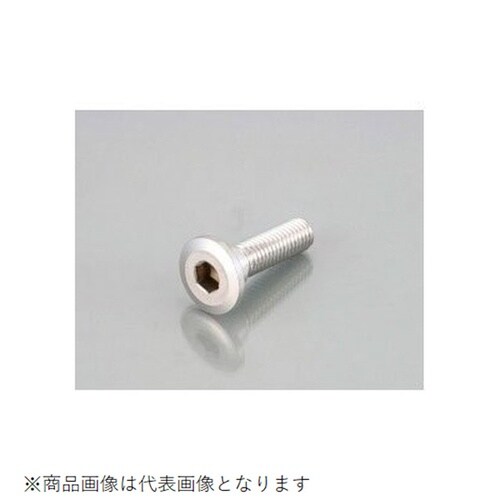 SUSローターボルト/KAWASAKI M8X30