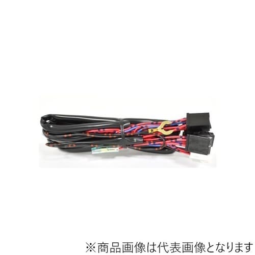 HIDキット VR4 H4DD コントロールハーネ