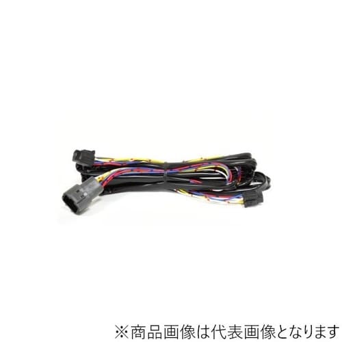 HIDキット プレミアムモデル H4DD コントロ