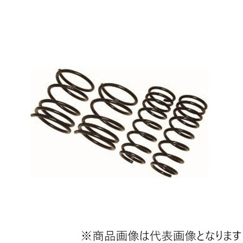 ダウンスプリング ローフォルム・レボリューション