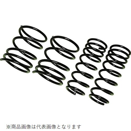 ダウンスプリング ローフォルム・レボリューション