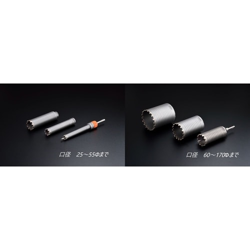 乾式ダイヤSDSシャンク UR21−D100NSD