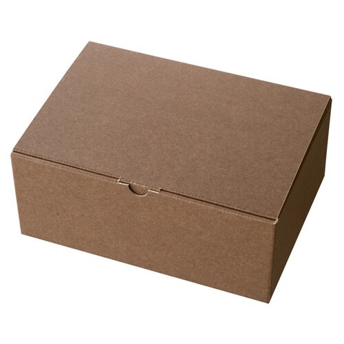 無地ブラウンギフトボックス−2 10枚