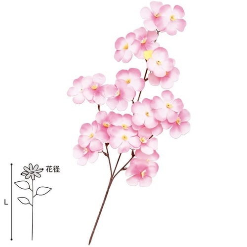 大桜スプレー 10本入