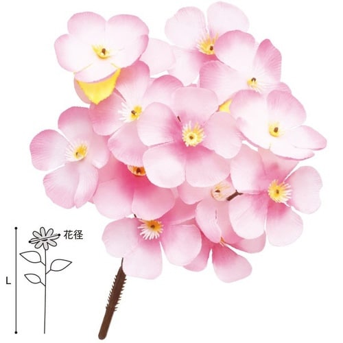 大桜ブッシュ 10本入