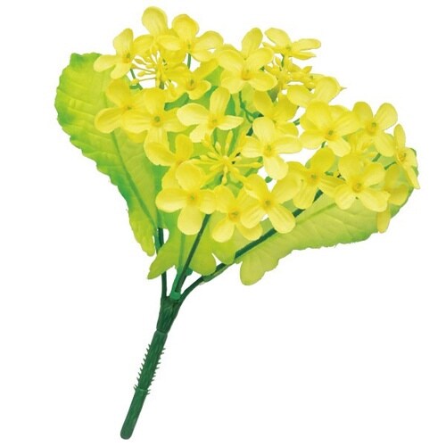 菜の花ブッシュ 10本入
