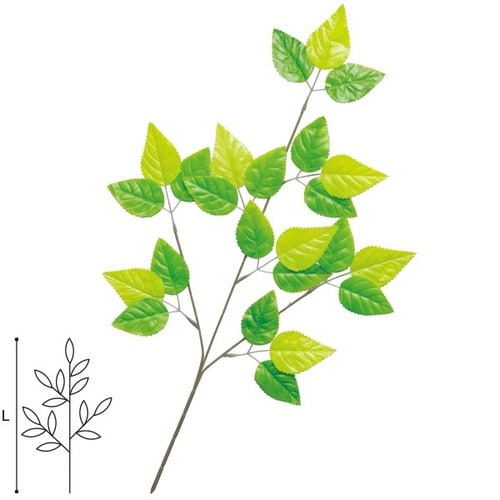 若葉スプレー 10本入