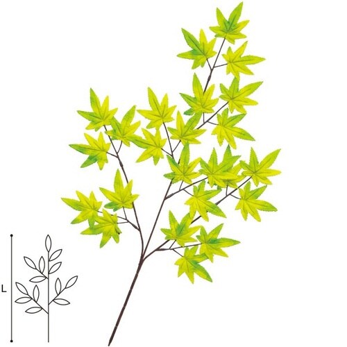 楓スプレー 10本入