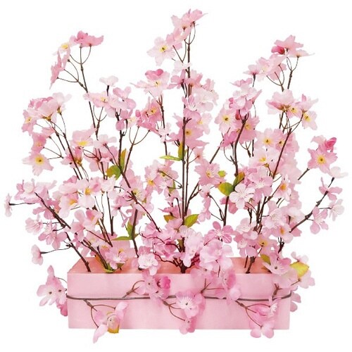 DX桜アレンジプランター