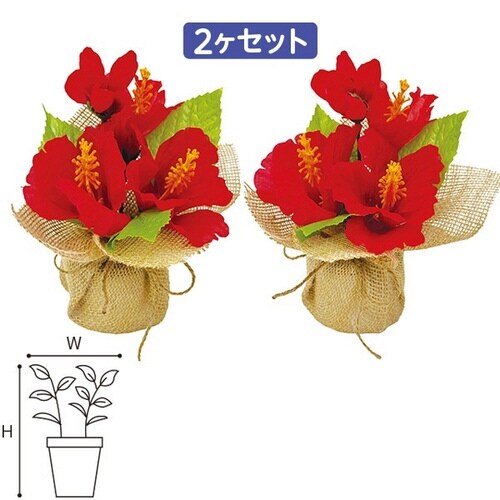 ハイビスカス ジュートラッピングセット