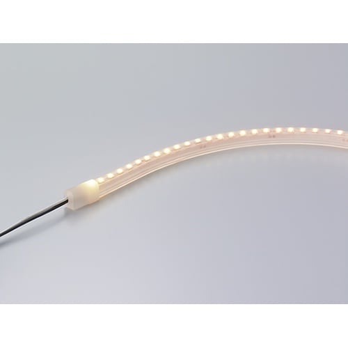 FXS2−LED4110L24−WPF1