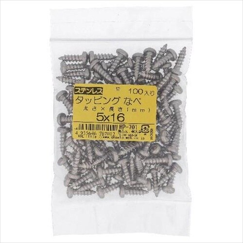 ステンタッピング ナベ 6X100 10P