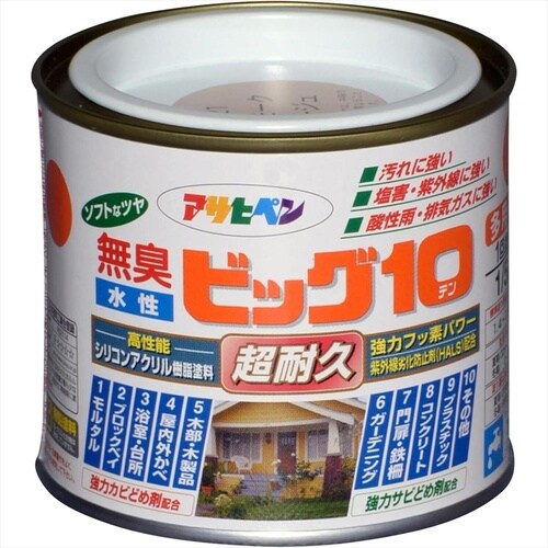 ビッグ10 1/5L 245スレートGY