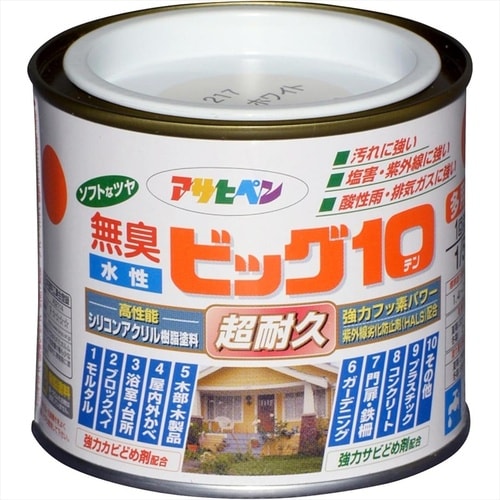 ビッグ10 1/5L213パステルグリーン