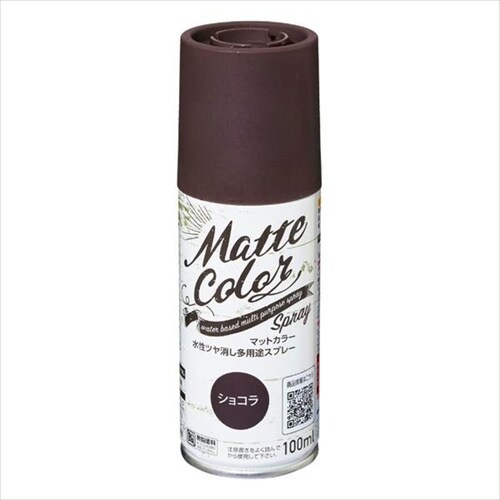 マットカラースプレー 100ML AGY