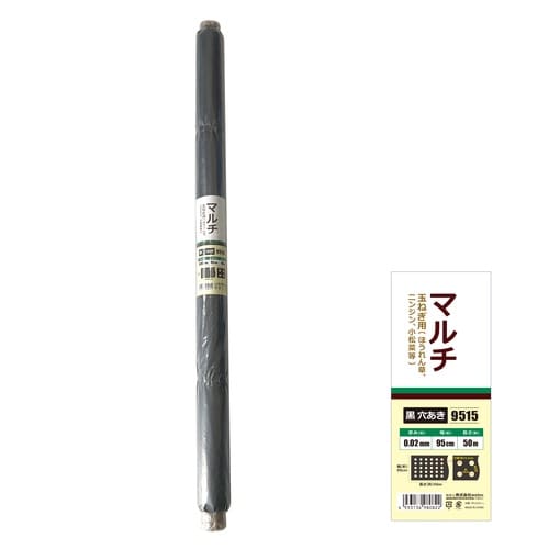 穴あきマルチ 玉ねぎ用