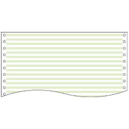 カラーラインフォーム 15×11 1P