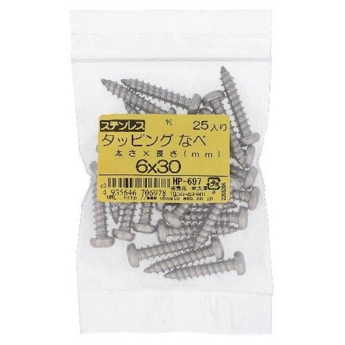 ステン タッピング ナベ 6X30 25P