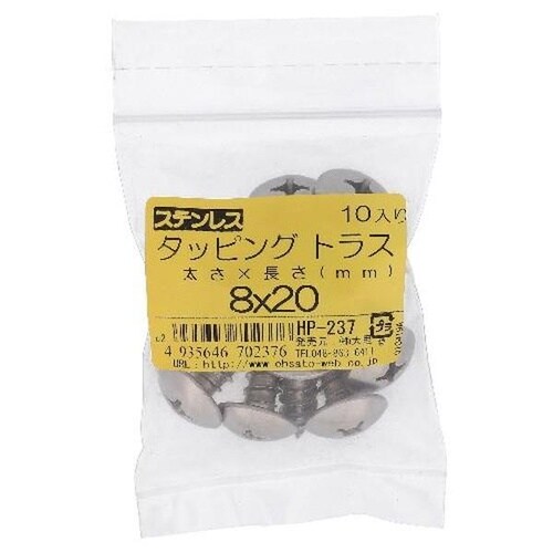 ステン タッピング トラス 8X20 10P