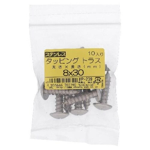 ステン タッピング トラス 8X30 10P