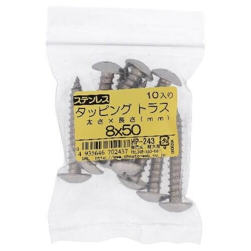 ステン タッピング トラス 8X50 10P