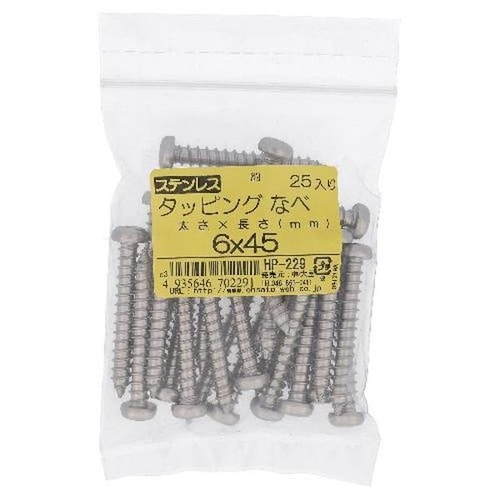 ステン タッピング ナベ 6X45 25P