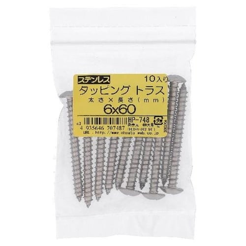 ステン タッピング トラス 6X60 10P