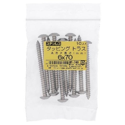ステン タッピング トラス 6X70 10P