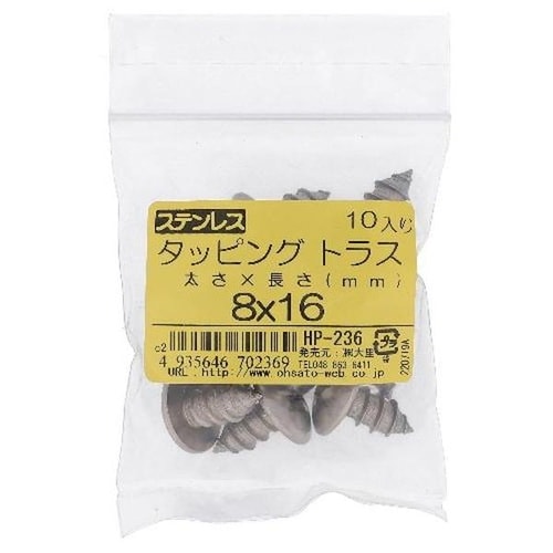 ステン タッピング トラス 8X16 10P