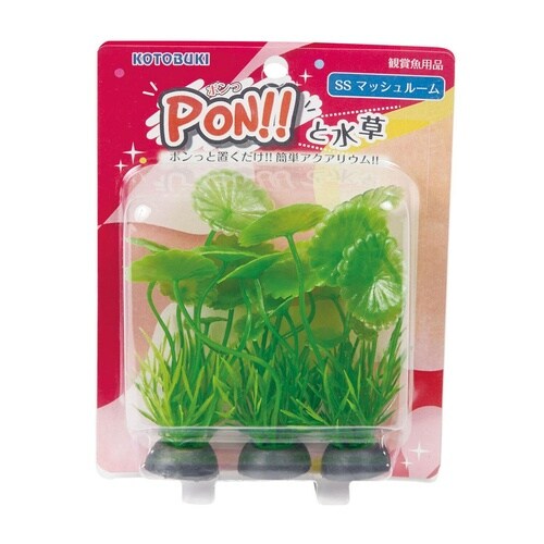 PON−SS マッシュルーム
