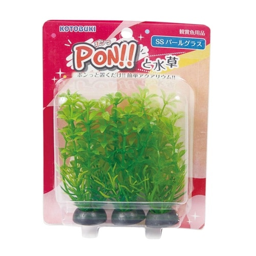 PON−SS パールグラス