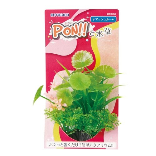 PON−S マッシュルーム