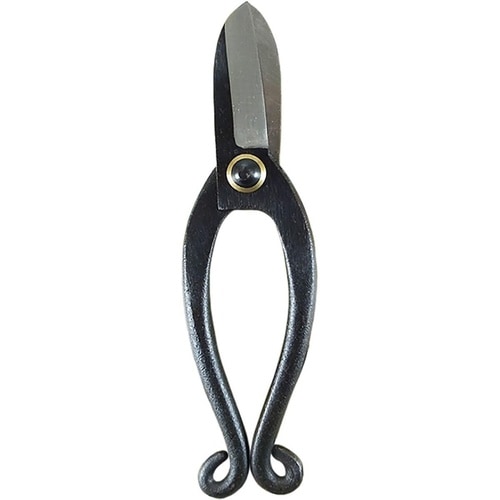 TH 池之坊 DX 601240