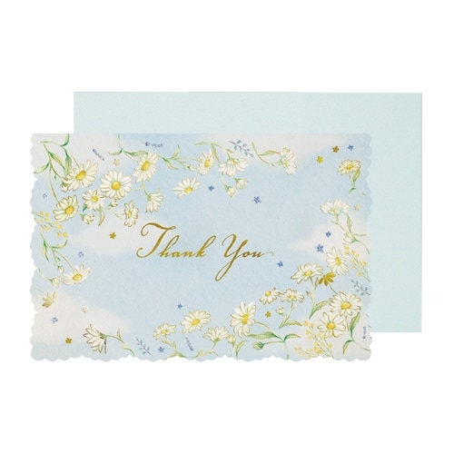 サンキュー ブライトデイジー×12