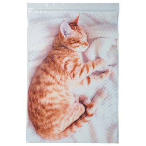 ジッパーバッグ お昼寝ねこ トラ A4×10