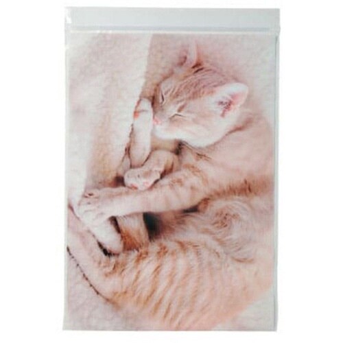 ジッパーバッグ お昼寝ねこ ルナ B5×10