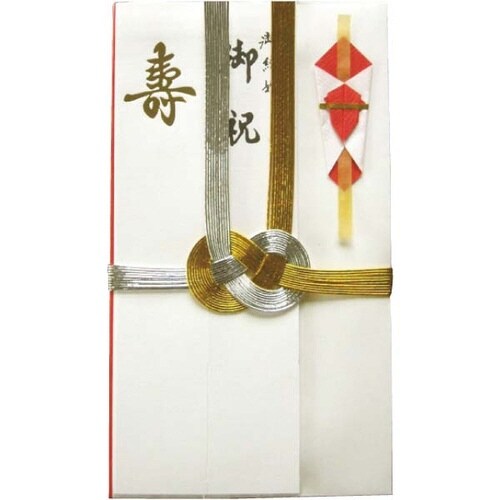 祝儀袋 お祝 自然色 金銀10本 短冊入×15
