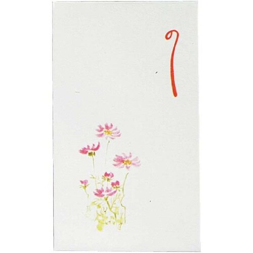 ぽち袋 五型 和風ポチ袋 5枚入×20