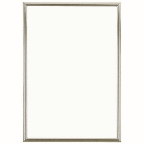 NEWライトフレーム(低反射) A1 SV