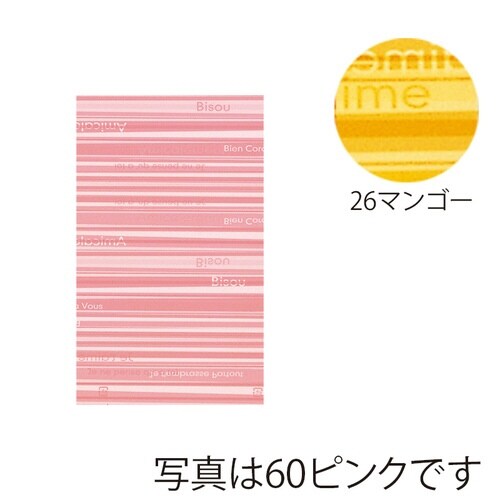 HDPバッグストライプS62216S#26