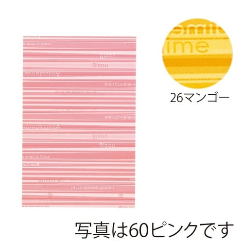 HDPバッグストライプM62217M#26