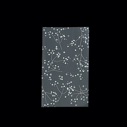 バッグポエミーバックS62200S#0ホワイト