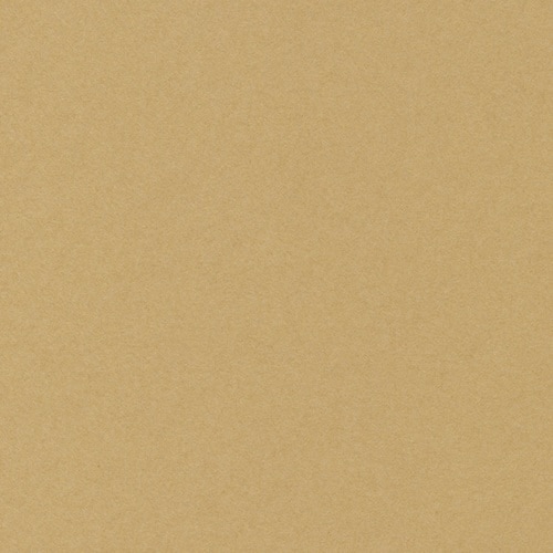 ベーシックカードL#6 キャメル