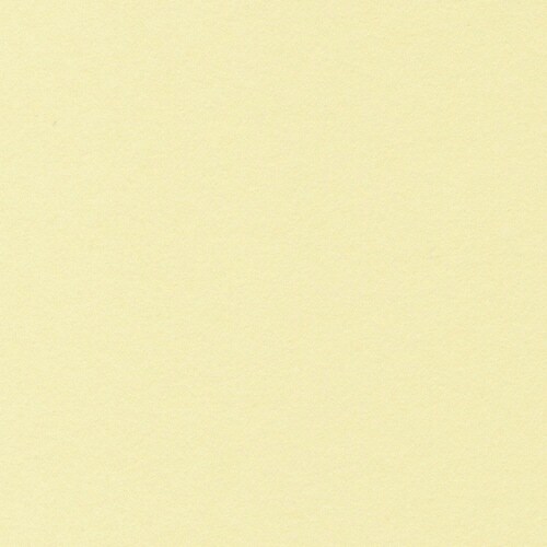 ベーシックカードM#14 クリーム